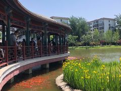 -西海子公园