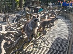 -宁波野生动物园