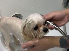 -FAELING PETS美天灵宠物(富力广场店)