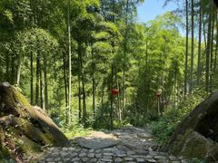 -山沟沟景区