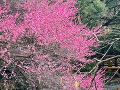 -中国茶叶博物馆(双峰馆区)