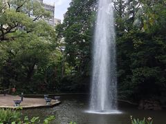 -九龙公园