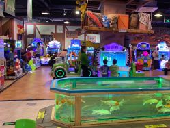 -卡通尼·Safari非洲探索乐园·生日会(金桥国际商业广场店)