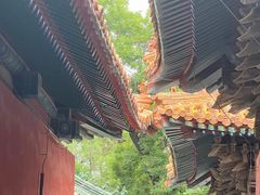 -朝花夕拾中餐厅(台儿庄古城复兴广场店)