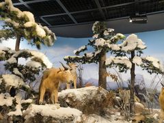 -陕西自然博物馆