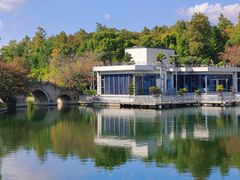 -上海共青森林公园