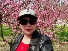 -南汇桃花村