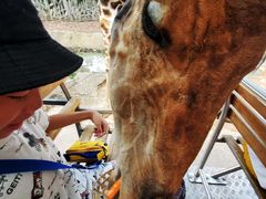 -清迈夜间动物园