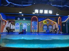 -重庆欢乐海底世界