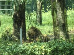 -秦皇岛野生动物园