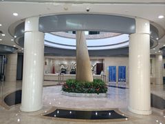 -上海市东方公证处