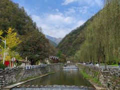 -牛背梁国家森林公园