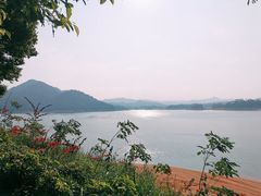 -广州市流溪河国家森林公园