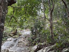 -梧桐山风景名胜区