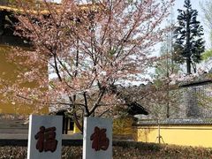 -三国水浒景区(无锡影视基地)