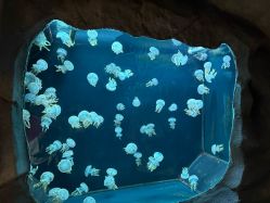 -Zoolung Zoolung动物主题公园(海信广场店)