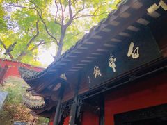 -白帝城·瞿塘峡景区