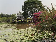 -中国科学院西双版纳热带植物园
