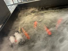 -0776食堂·京城创意菜(七里庄店)
