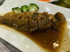 -有腥气私房菜·寻味顺德