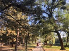 -承德避暑山庄景区