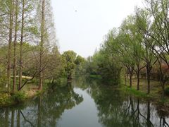 -昆山城市生态森林公园