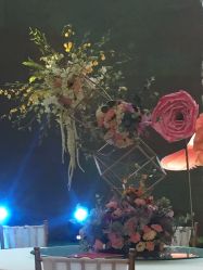 -忆江南婚礼策划(姑苏店)