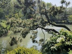 -上海醉白池公园