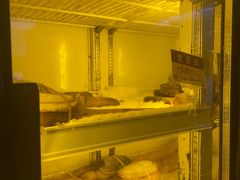 -协成海鲜火锅(情侣路店)