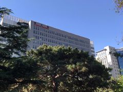 -中央民族大学