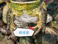 -鹏天阁酒楼·海鲜(红旗店)