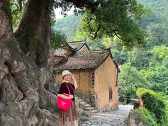 -杨家堂村