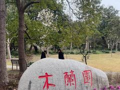 -上海滨江森林公园