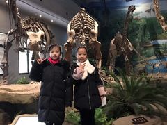 -自贡恐龙博物馆