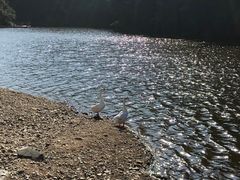 -祁门牯牛降观音堂风景区