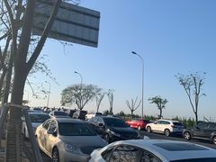 -南汇嘴观海公园