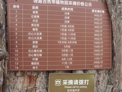 -呀路古热带植物园