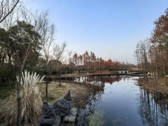 -长广溪湿地公园