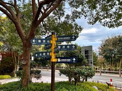 -普陀山风景区-佛顶山