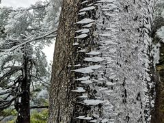 -洛阳白云山景区