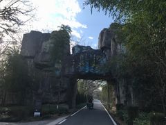 -金孔雀温泉旅游度假村