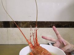 龙虾汤河粉-荔林食店(西华路店)