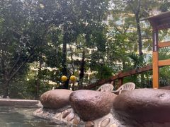 -花水湾第一村温泉大酒店