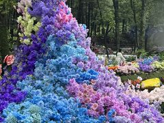 -洛阳白云山景区