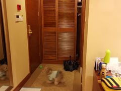 -太阳岛度假酒店