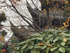 -龙华寺