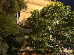 -生宇山珍野生菌汤锅•始于2002(双流古塔店)