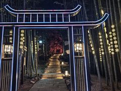 -杭州黄龙洞