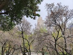 -环城公园
