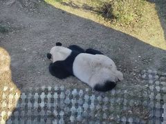 -青藏高原野生动物园